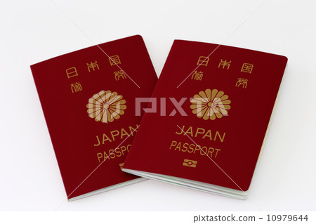 2張護照白背 10979644