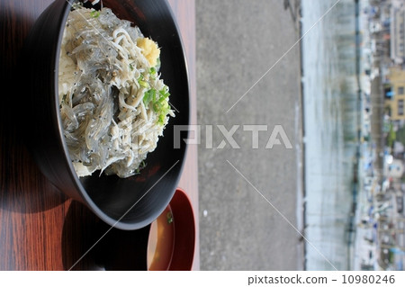 在漁港上閃閃發光 10980246