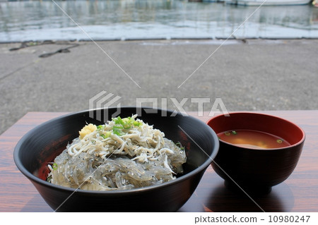 在漁港上閃閃發光 10980247