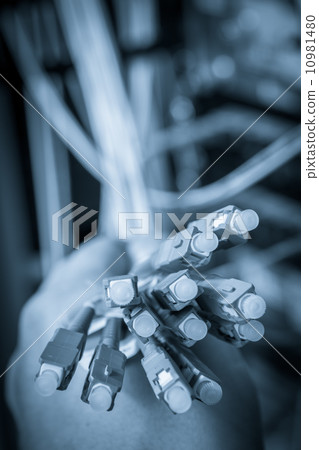 optic fiber cables 10981480