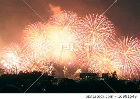 Fireworks and the cityscape 10981649
