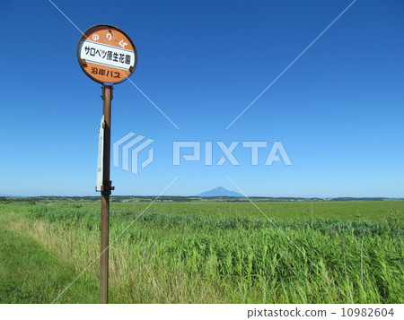 Bus stop and Rishiri Bus stop and Rishiri 10982604