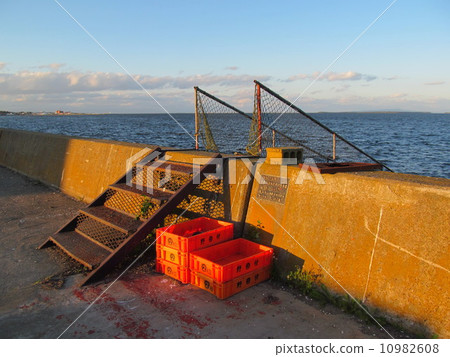 Breakwaters and stairs 10982608