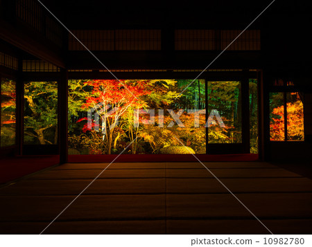 Nanzenji·Tennoan花園點亮 Nanzenji·Tennoan花園點亮 10982780