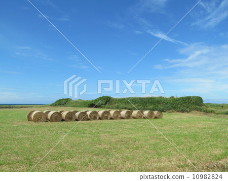 Hay roll and prairie 10982824