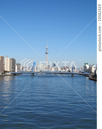 清水橋和天空樹 10982829