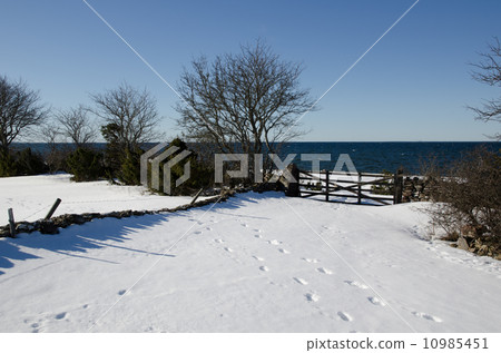 Old wooden gate Old wooden gate 10985451