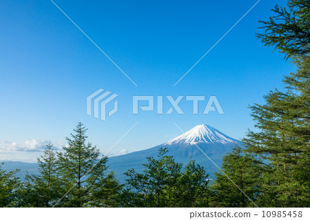 富士山和森林 富士山和森林 10985458