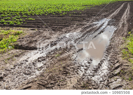 Dirty road with muds in the field, Russia Dirty road with muds in the field, Russia 10985508