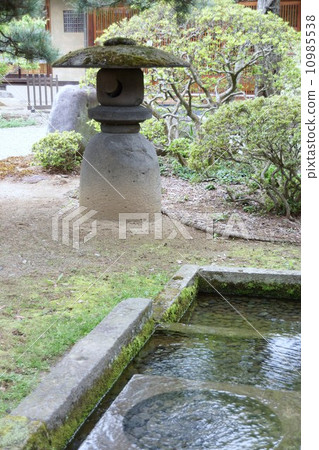 主人的房子的春天田中首腦的春天 10985538