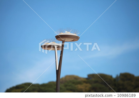 modern lamppost modern lamppost 10986189