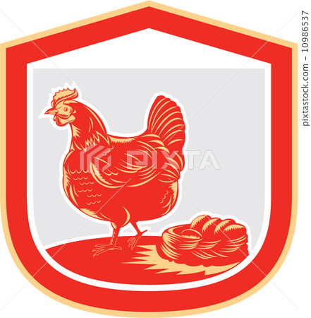 Hen Chicken Nest Egg Shield Retro 10986537