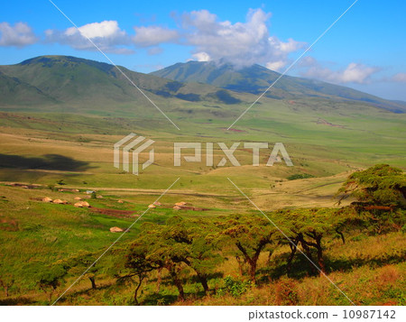 Ngorongoro 10987142