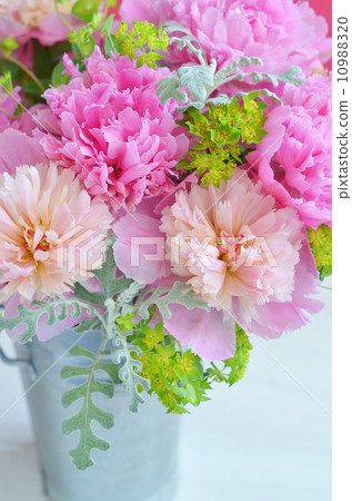 Peony of peonies Peony of peonies 10988320