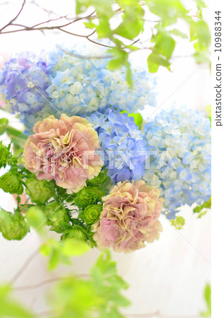 Hydrangea bouquet Hydrangea bouquet 10988344