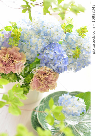 Hydrangea bouquet 10988345