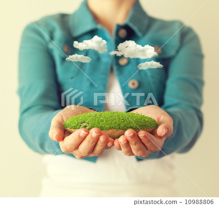 Fantastic island 10988806