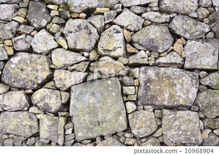 Hikone castle in early summer 10988904