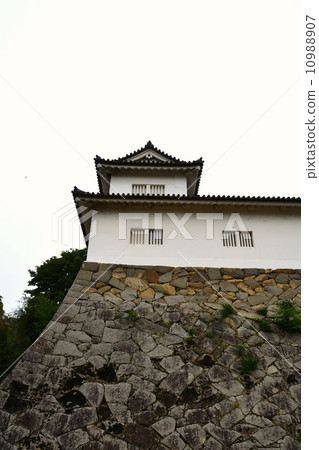 Hikone castle in early summer 10988907