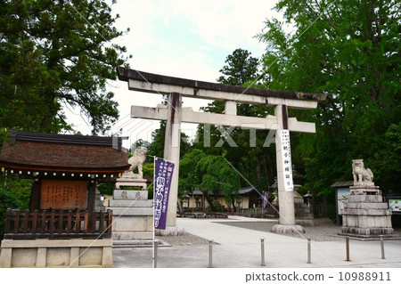 Taga Taisha 10988911