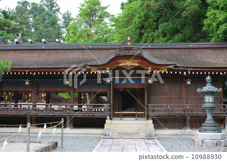 Taga Taisha 10988930