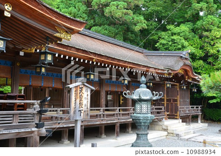 Taga Taisha 10988934