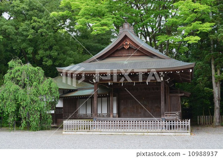 Taga Taisha Dance Taga Taisha Dance 10988937