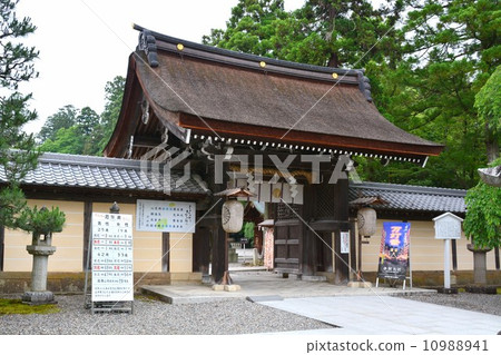 Taga Taisha Shinkansen 10988941