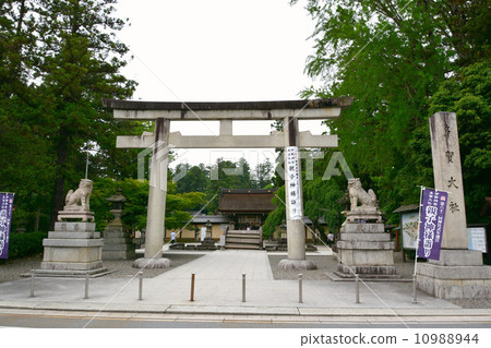 Taga Taisea入口 10988944