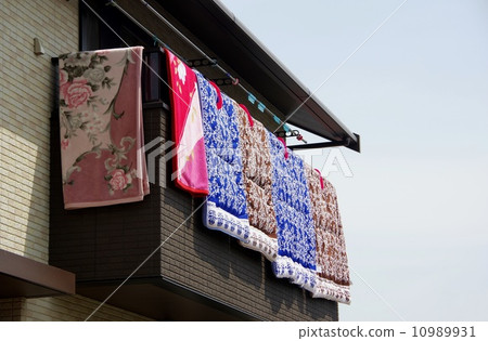 每日地板的蒲團 10989931