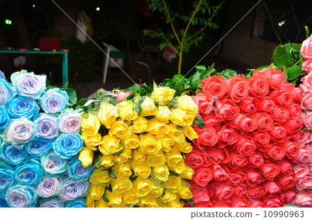Night trade fair sale roses 10990963