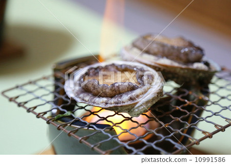 Abalone 10991586