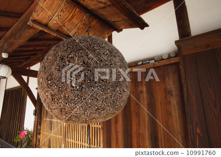 Episode of Sugiyama 10991760