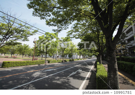 Takarazuka City Hall 10991781