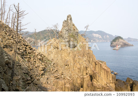A view of the armored rocks, a natural monument of Okinoshima Town A view of the armored rocks, a natural monument of Okinoshima Town 10992093