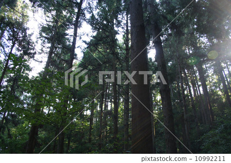 Shooting light 2 10992211