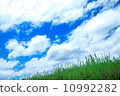 天空和草 天空和草 10992282