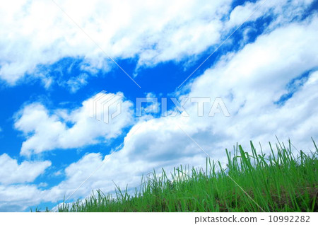 天空和草 10992282