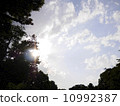 Sunbeams 10992387