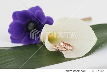 wedding rings 10992464