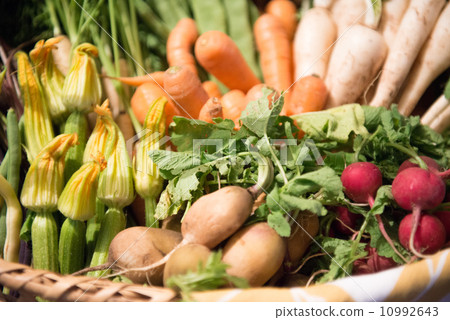 Various vegetables 10992643