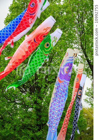 Carp flag in Japan 10992755