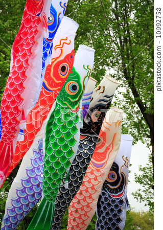Carp flag in Japan 10992758