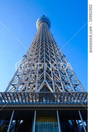 TOKYO - APRIL 15 10992802