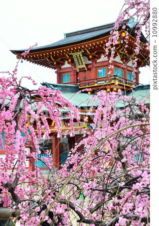 天滿宮的梅梅梅 10992880