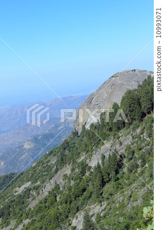 Spring Sequoia National Park 10993071