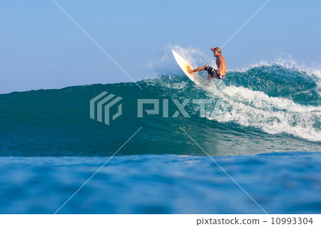 surfing a wave surfing a wave 10993304