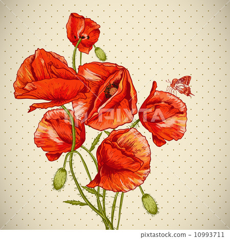 Bunch of Beautiful Red Poppy vector illustration 10993711