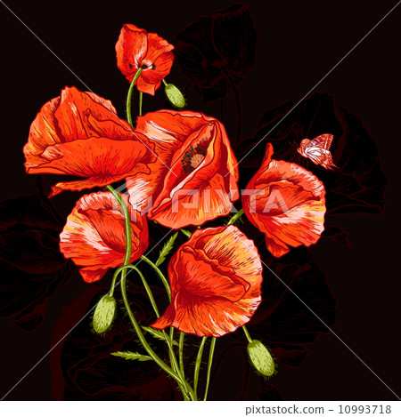Bunch of Beautiful Red Poppy vector illustration Bunch of Beautiful Red Poppy vector illustration 10993718