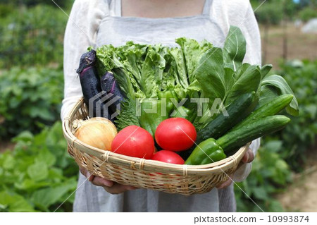 Fresh vegetables Fresh vegetables 10993874